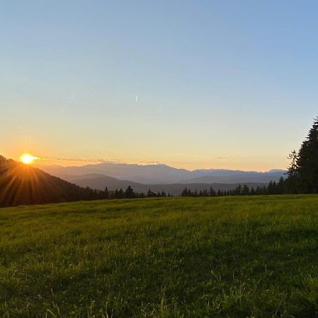 Ferienhaus Waldtraum Sankt Veit an der Glan Exteriör bild