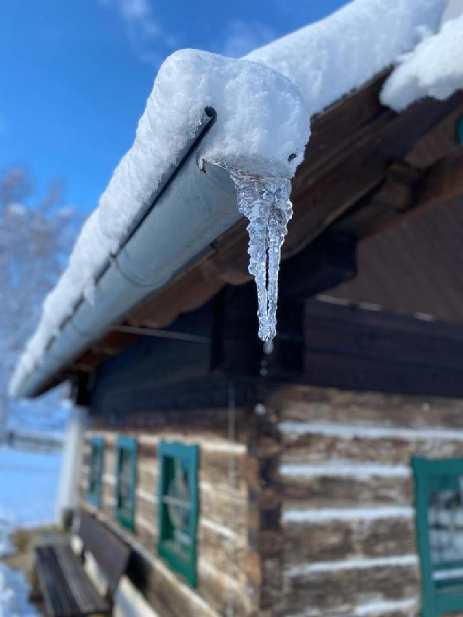 Ferienhaus Waldtraum Sankt Veit an der Glan Exteriör bild